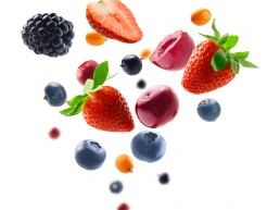 fruits
