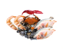 frozen fish